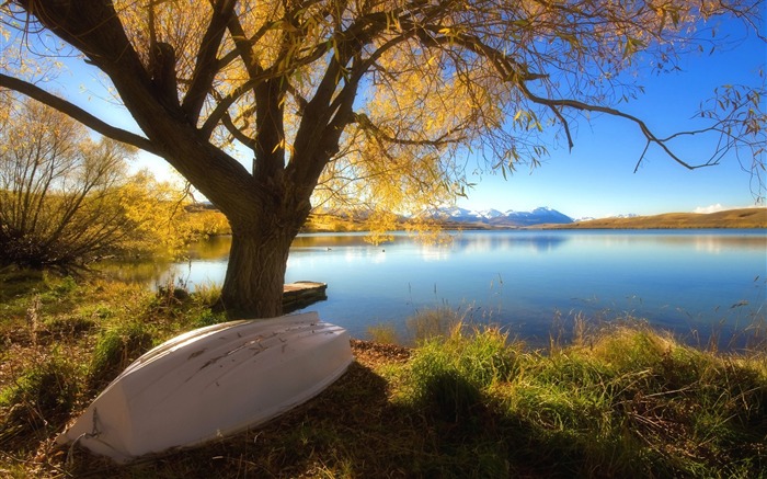 New Zealand-Lake Alexandrina-Twizel Views:9892 Date:2011/8/20 15:28:38