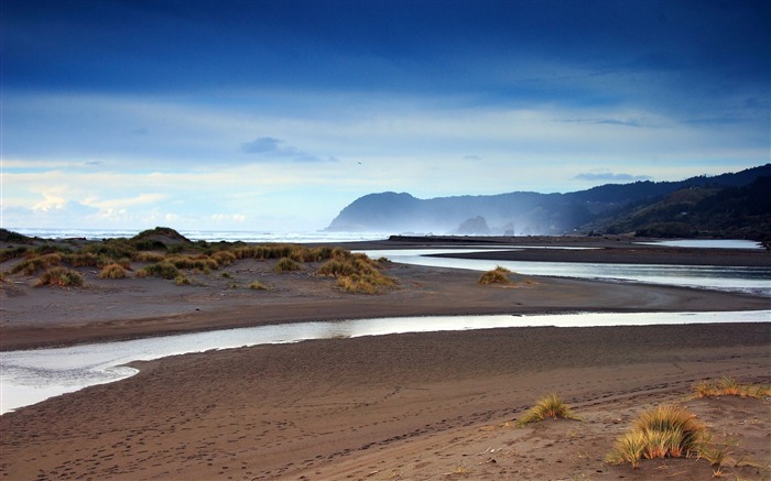 New Zealand - autumn beach wallpaper Views:19197 Date:2011/8/20 15:08:45