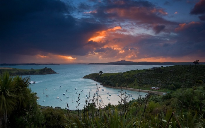 New Zealand Waiheke Island island scenery wallpaper 01 Views:11969 Date:2011/8/20 15:14:53