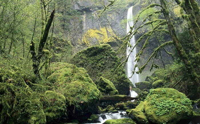 Oregon-Columbia River Gorge National Scenic Wallpaper Views:11298 Date:2011/8/5 9:29:24