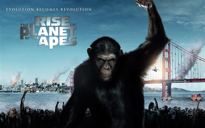 Rise of the Planet of the Apes movie wallpaper Views:24707