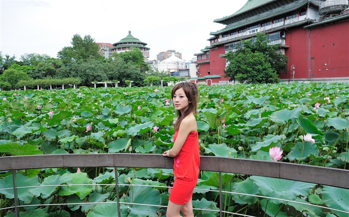 Taiwan bela menina MM mikao papel de parede terceira série 10 Visualizações:11700