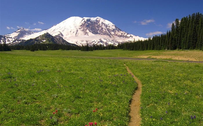 Washington-Mount Rainier National Park Wallpaper Views:10368 Date:2011/8/5 10:28:15