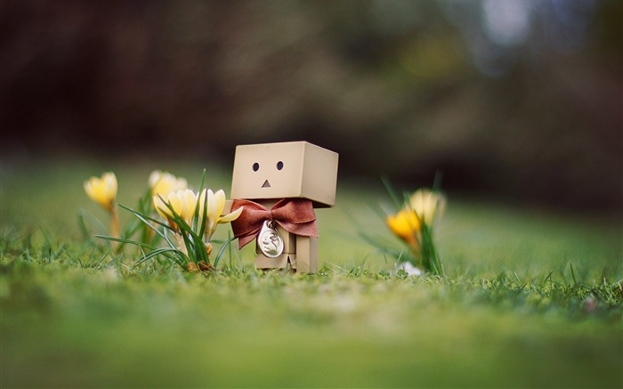 Papéis de parede de danbo - Segunda série 22 Visualizações:23652