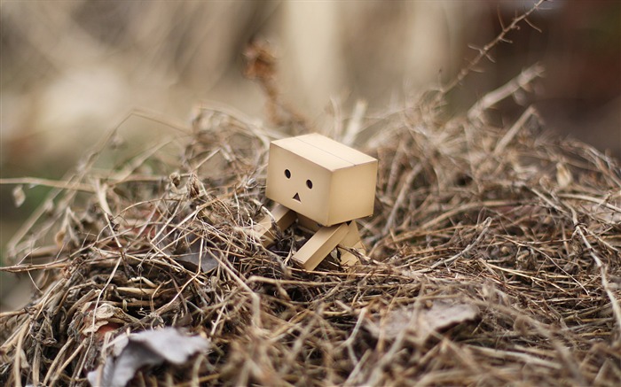 Papéis de parede de danbo - Segunda série 23 Visualizações:14549