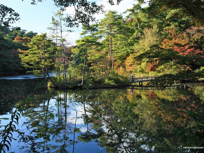 Otoño lago y arce - jardín japonés arte paisaje papel pintado Vistas:171839