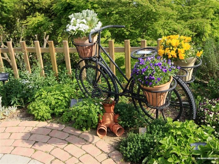 Bicycle potted Art- Japanese garden art landscape fondo de pantalla Vistas:22982