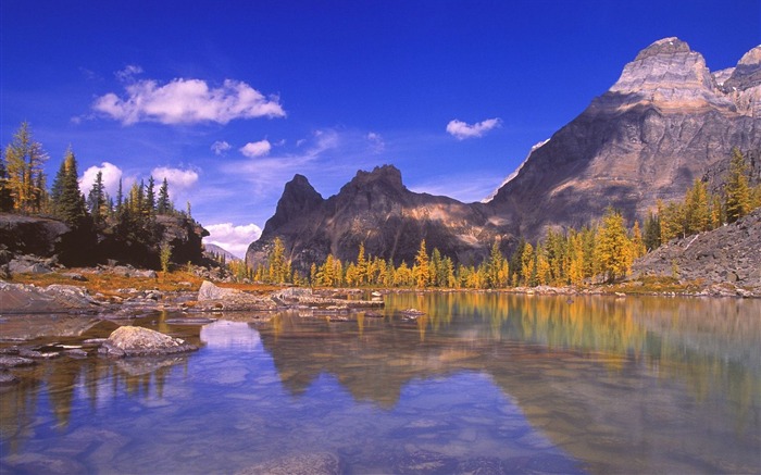 British Columbia Canada-Yoho National Park Wallpaper Views:10196 Date:2011/9/3 8:19:26