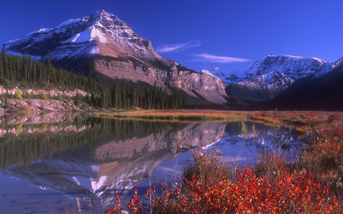 Canada Jasper National Park Wallpaper Views:12415 Date:2011/9/3 7:58:04