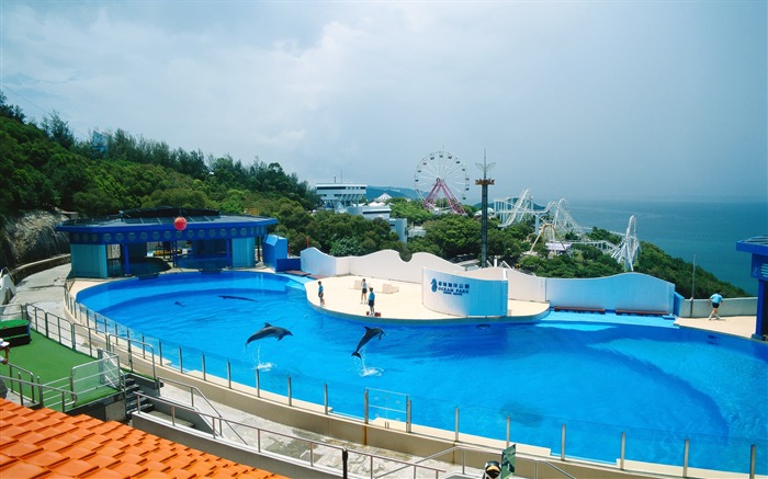 Papel de parede da paisagem Dolphin Park-Hong Kong Visualizações:10557