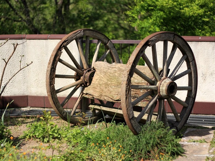 Features wooden wheels- Japanese garden art landscape wallpaper Views:14269 Date:2011/9/14 6:23:25