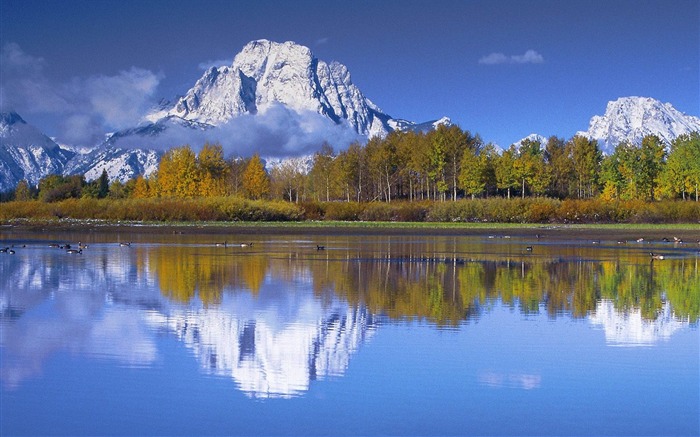 Grand Teton National Park-Peak wallpaper Moran Views:9679 Date:2011/9/3 7:57:23