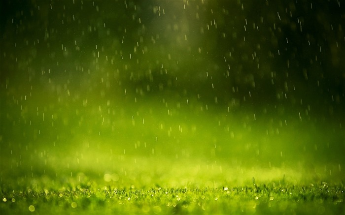 Green Raindrops-Amazing nature Visualizações:21109