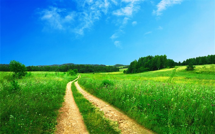 Green Scenery-landscape wallpaper selection Views:67732 Date:2011/9/17 9:58:55