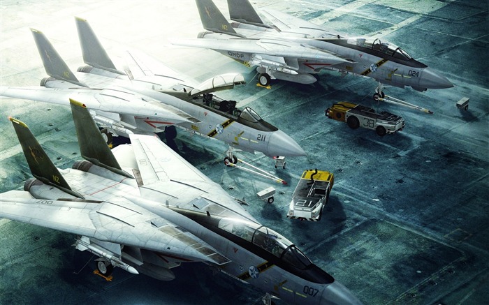 Grumman F-14 Fighters-military aircraft-HD Wallpaper Views:21086 Date:2011/9/17 7:56:48