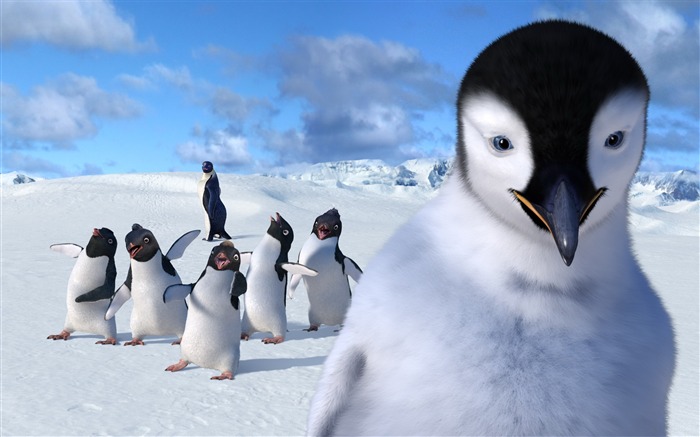 Fondo de pantalla de Happy Feet HD 11 Vistas:12460