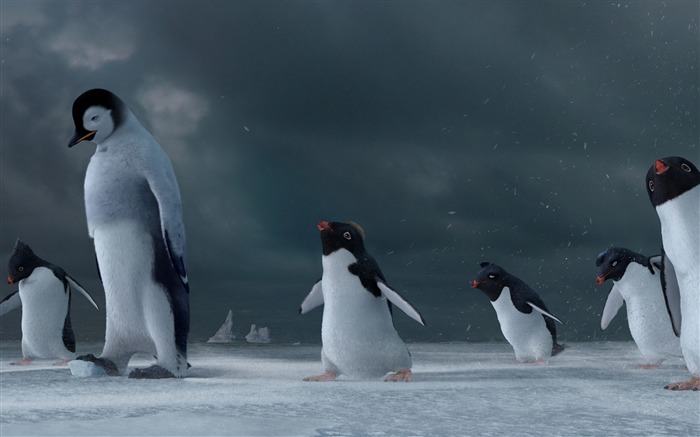 Fondo de pantalla de Happy Feet HD 13 Vistas:9462