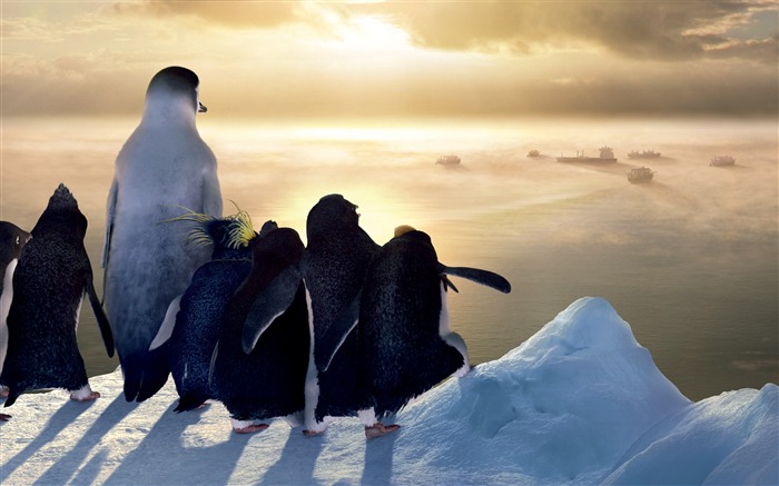 Fondo de pantalla de Happy Feet HD 15 Vistas:9979