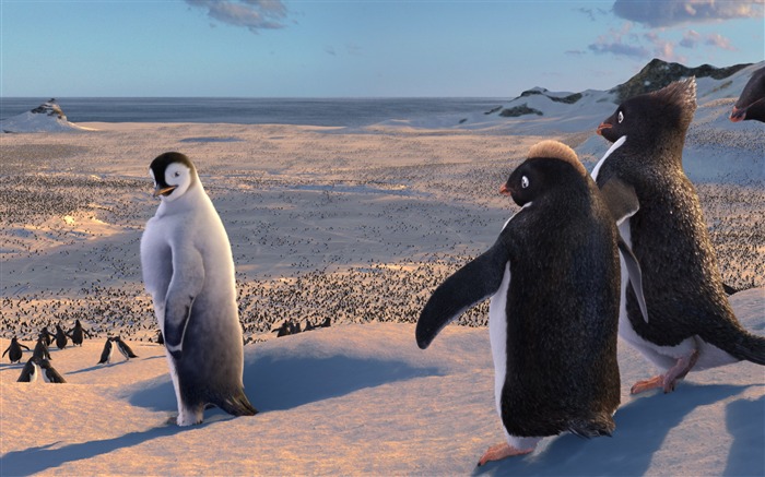 Fondo de pantalla de Happy Feet HD película 21 Vistas:7737