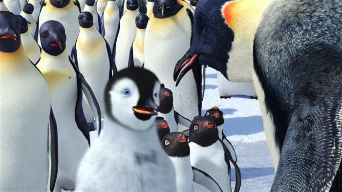 Fondo de pantalla de Happy Feet HD película 22 Vistas:6269