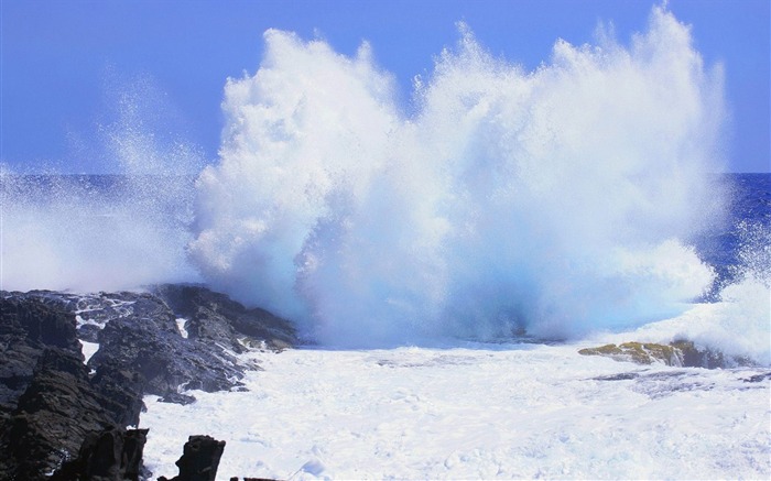 Hawaii-volcanic rock on the waves wallpaper Views:9975 Date:2011/9/3 7:37:28