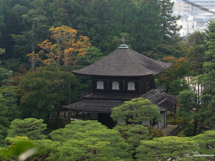 Jardin japonais- Japonais papier peint paysage jardin d'art Vues:23492