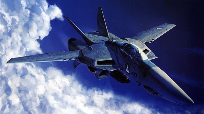 Jet Fighter-des avions militaires Wallpaper Vues:47738