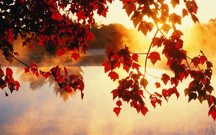 Autumn pleasant - Autumn Landscape wallpaper Views:57590