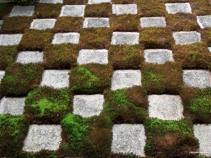 Parc Caractéristiques étage- Japonais papier peint paysage jardin d'art Vues:8859