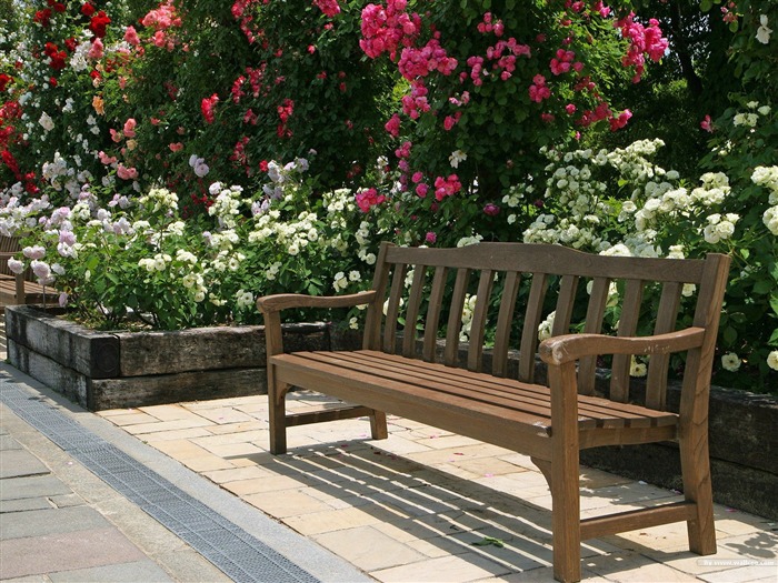 Park benches- Japanese garden art landscape wallpaper Views:20917 Date:2011/9/14 6:16:58