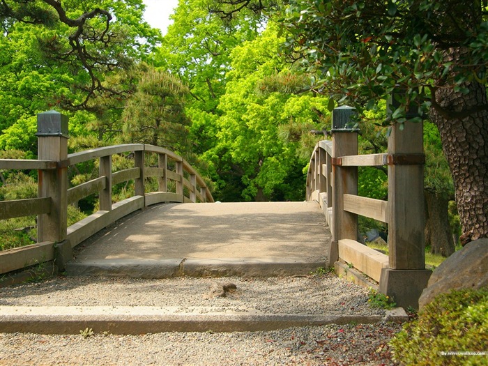 公园的小桥- 日本园林艺术风景壁纸 浏览:15812