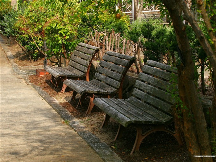 Park rest chair- Japanese garden art landscape fondo de pantalla Vistas:15566