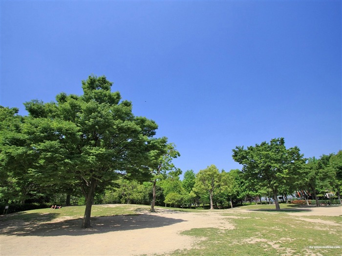 Picnic- jardín japonés arte paisaje papel pintado Vistas:11213