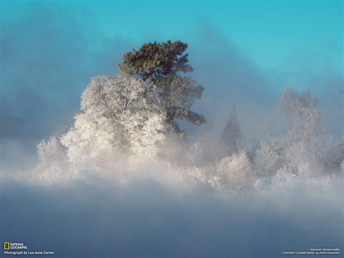 Reed Ott Bay-National Geographic-Foto del día Vistas:11223