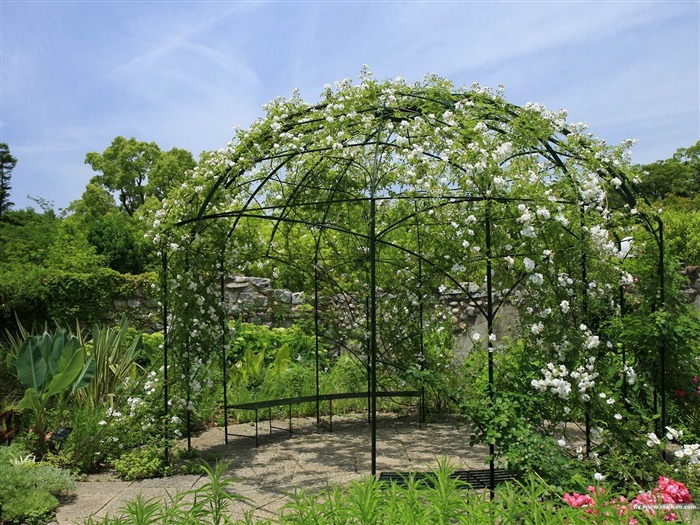 Quiosco romántico de flores - paisaje de jardín japonés Vistas:22814