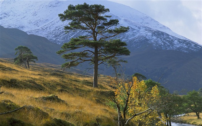 Scottish landscape wallpaper Views:11734 Date:2011/9/3 8:07:21