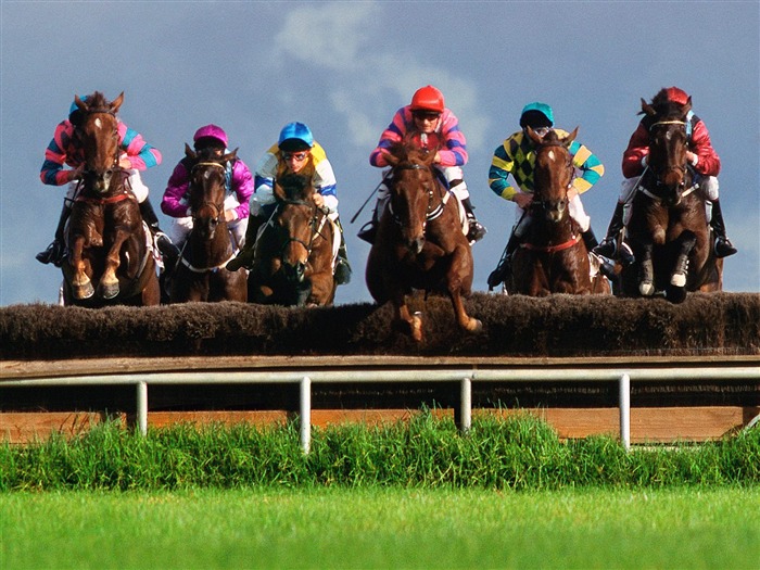 Steeplechase horse racing- SPORT Wallpaper Views:22274 Date:2011/9/19 3:33:05