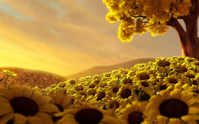 Sunflower Flower Field-Summer romance Feelings Views:14087 Date:2011/9/8 6:44:47