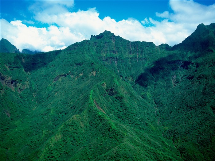 大溪地山脉壁纸 浏览:11702