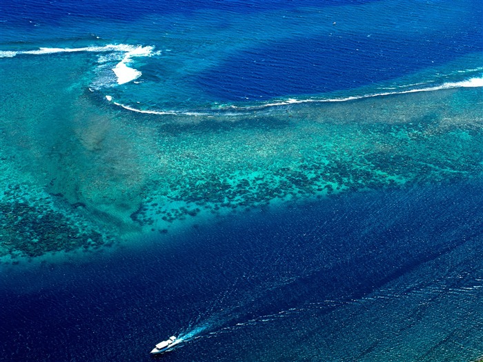 大溪地珊瑚岛壁纸 浏览:15751