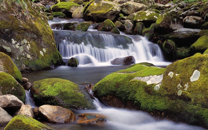 Tennessee-Great Smoky Mountains National Park Wallpaper Views:9508 Date:2011/9/3 8:02:12