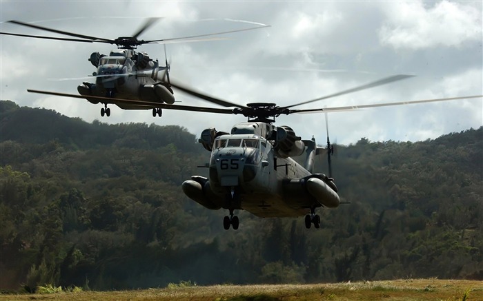 Deux CH 53D Sea Stallion S032 Hélicoptères-des avions militaires Wallpaper Vues:14784