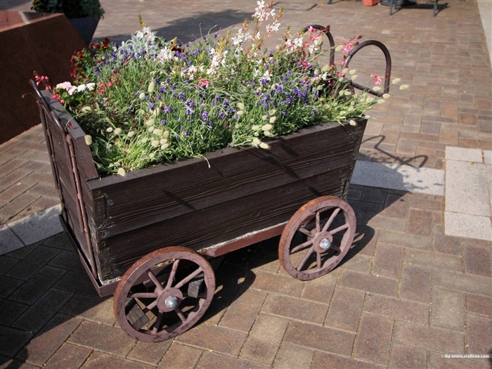 Flores de carro de madeira - paisagem japonesa de arte jardim paisagem Visualizações:11672