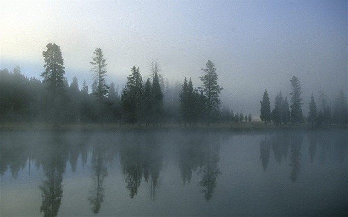 Wyoming-Yellowstone River in the morning mist wallpaper Views:8463 Date:2011/9/3 7:56:48