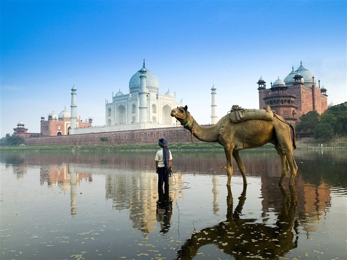 Yamuna River Agra India-Traveled the world Photography Wallpaper Views:8883 Date:2011/9/27 10:27:31