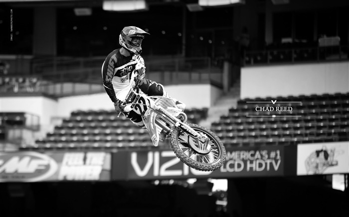 AMA Supercross Anaheim, la primera parada, Chad Reed Wallpaper Vistas:12526