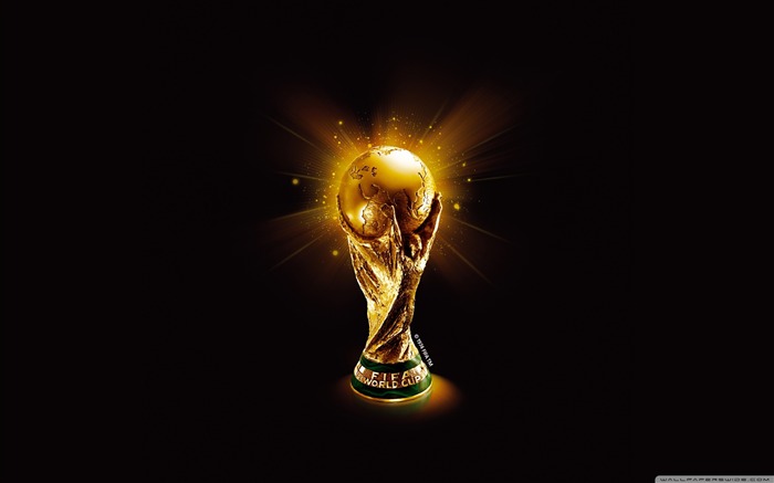 FIFA World Cup-Football Series Desktop Fond d'écran Vues:50120