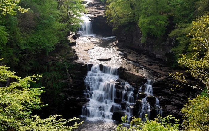 Falls of Clyde-Landscape Desktop Wallpaper Views:9208 Date:2011/10/19 13:11:10