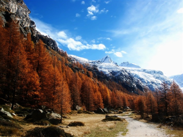 Gran Paradiso-Landscape Desktop Wallpaper Views:10662 Date:2011/10/19 13:14:13