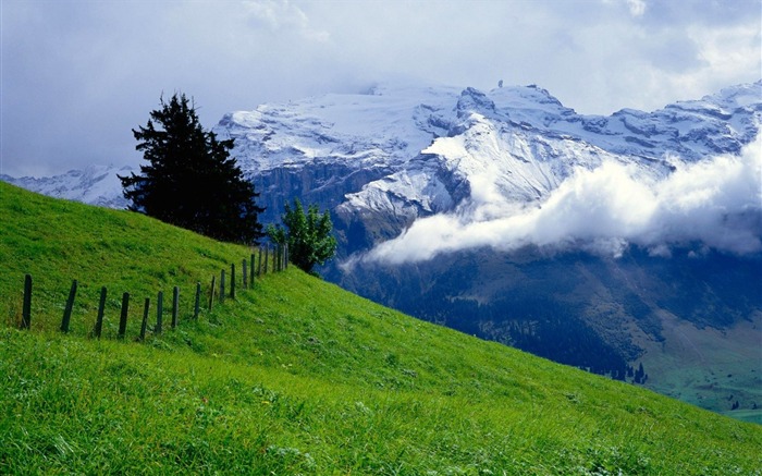 Vert-dessus des nuages-papier peint paysage Vues:13016